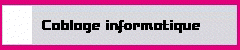 Cablage informatique