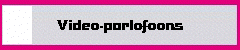 Video-parlofoons